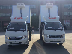 福田康瑞K1无公害处理车